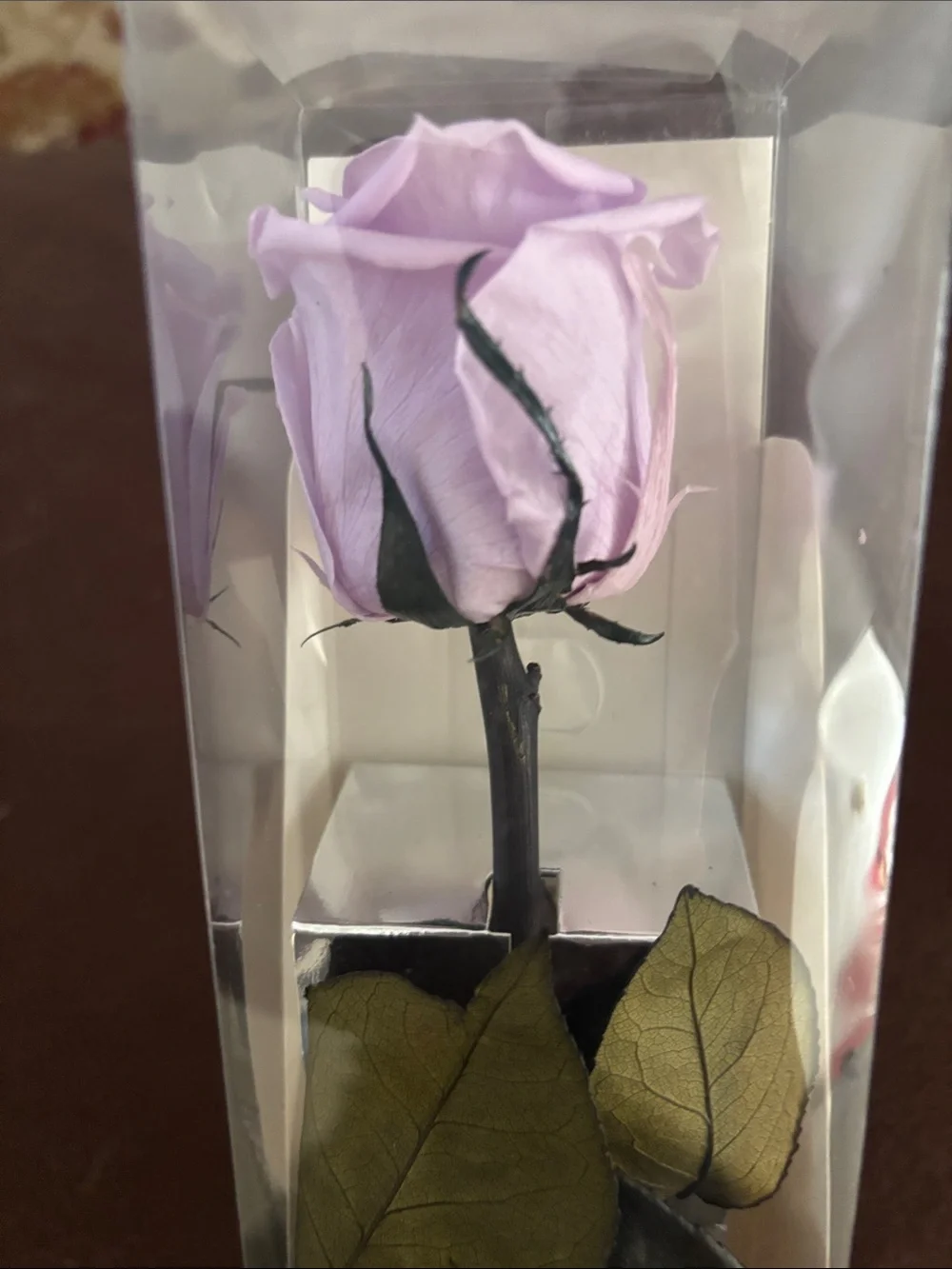 NIB Preserved lavender Rose - Long Stem fantasy farms
